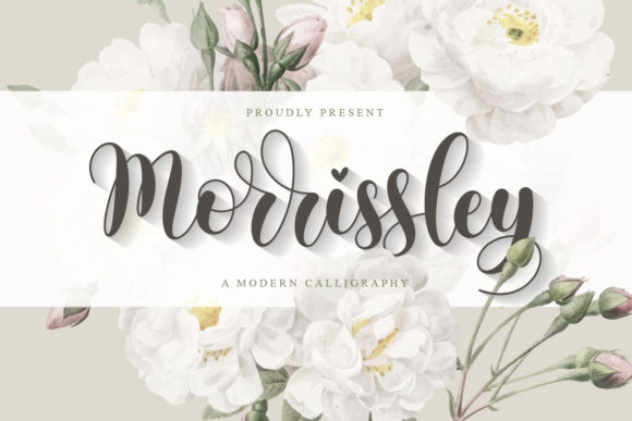 Elevate Your Brand with Morrissley: A Charming Script Font