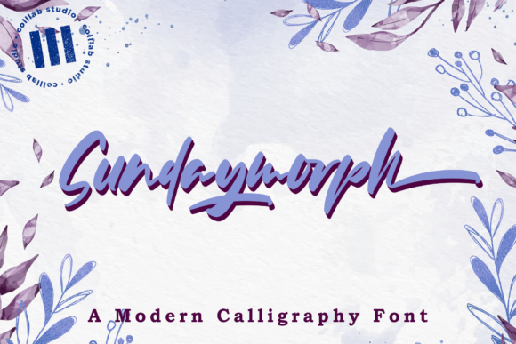 Enhance Your Brand with Sundaymorph Font