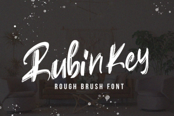 Experience the Elegance of Rubin Key in Web Design