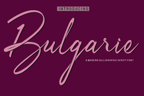 Exploring Bulgarie: A Delicate and Timeless Font for Branding