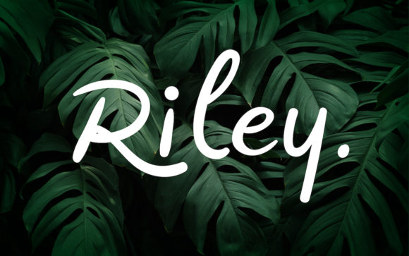 Introducing Riley: A Versatile Handwritten Font for Engaging Campaigns