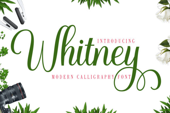 Whitney: A Delicate and Elegant Handwritten Font for Marketers
